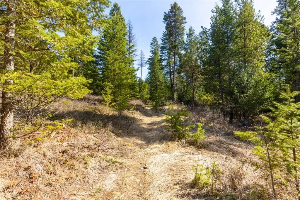 81 Scholar Lane Whitefish MT 59937