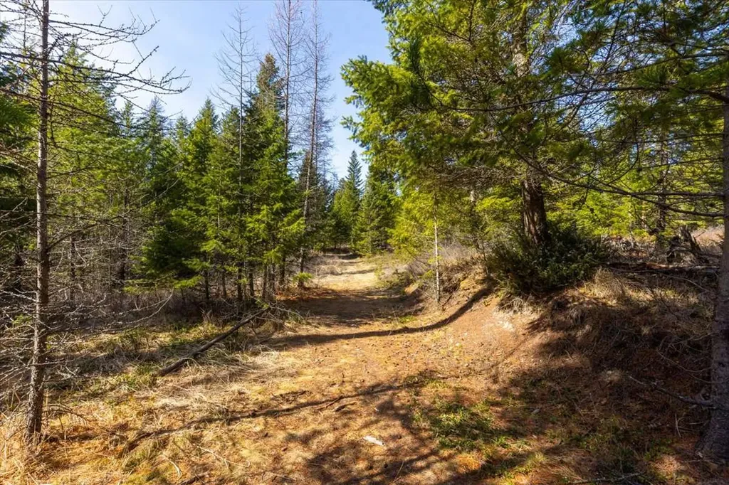 81 Scholar Lane Whitefish MT 59937