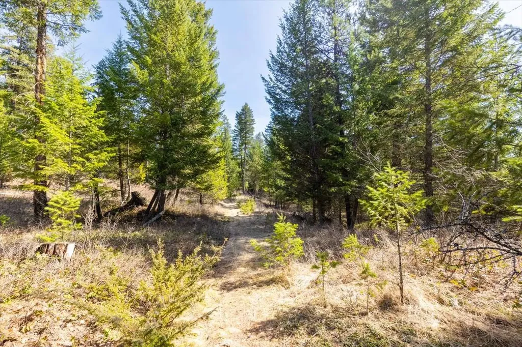 81 Scholar Lane Whitefish MT 59937