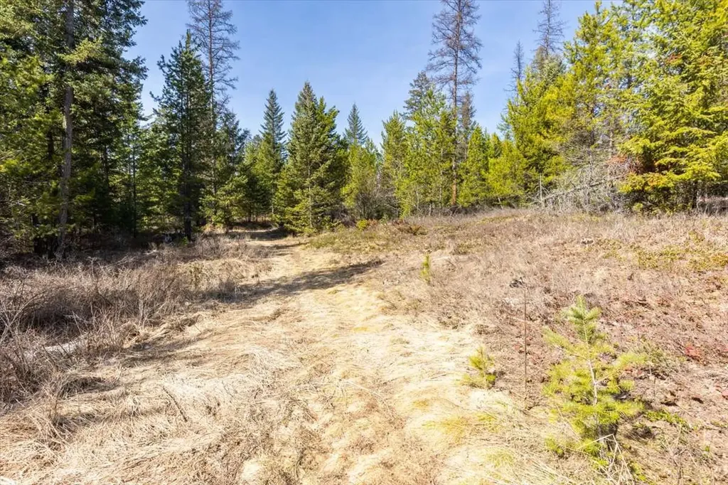 81 Scholar Lane Whitefish MT 59937