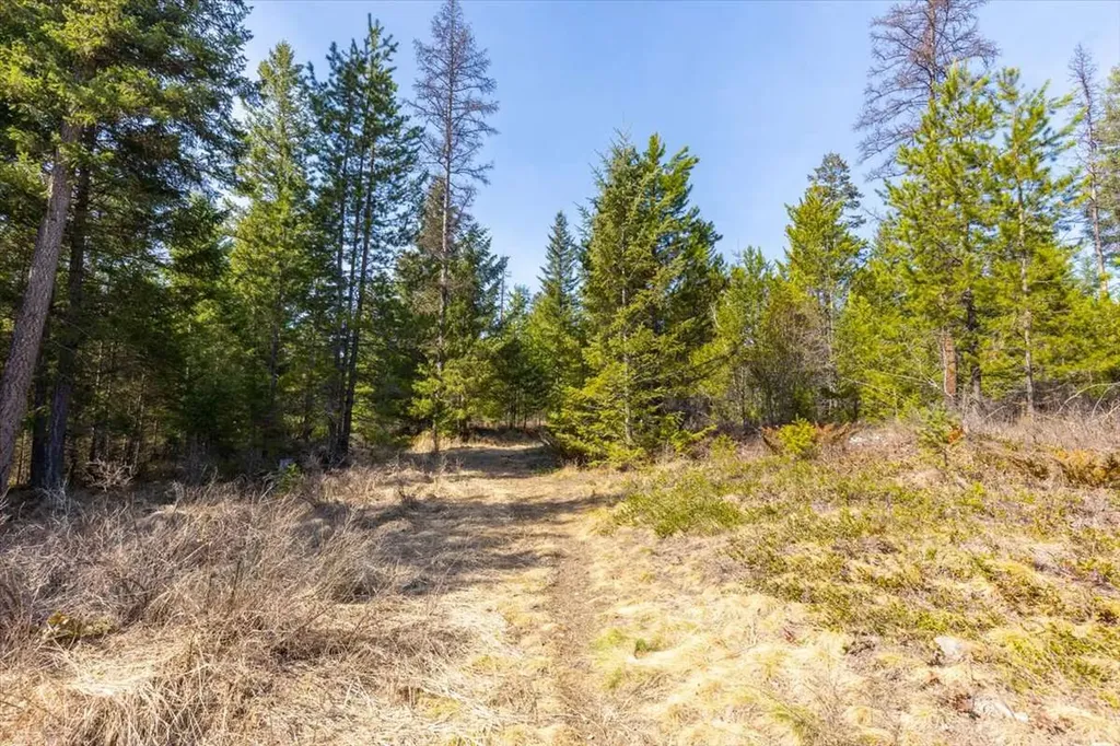 81 Scholar Lane Whitefish MT 59937