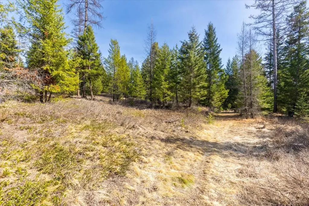 81 Scholar Lane Whitefish MT 59937