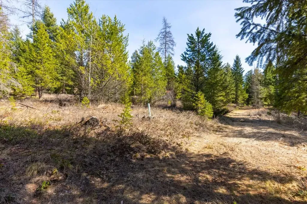 81 Scholar Lane Whitefish MT 59937