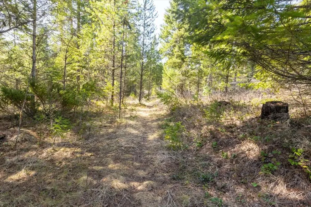 81 Scholar Lane Whitefish MT 59937