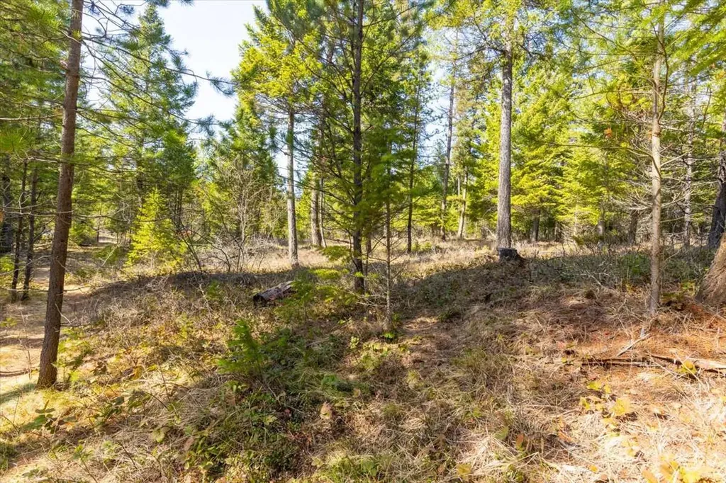 81 Scholar Lane Whitefish MT 59937
