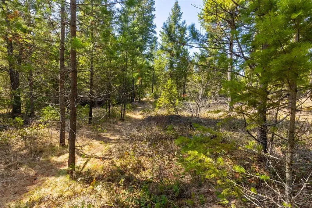 81 Scholar Lane Whitefish MT 59937