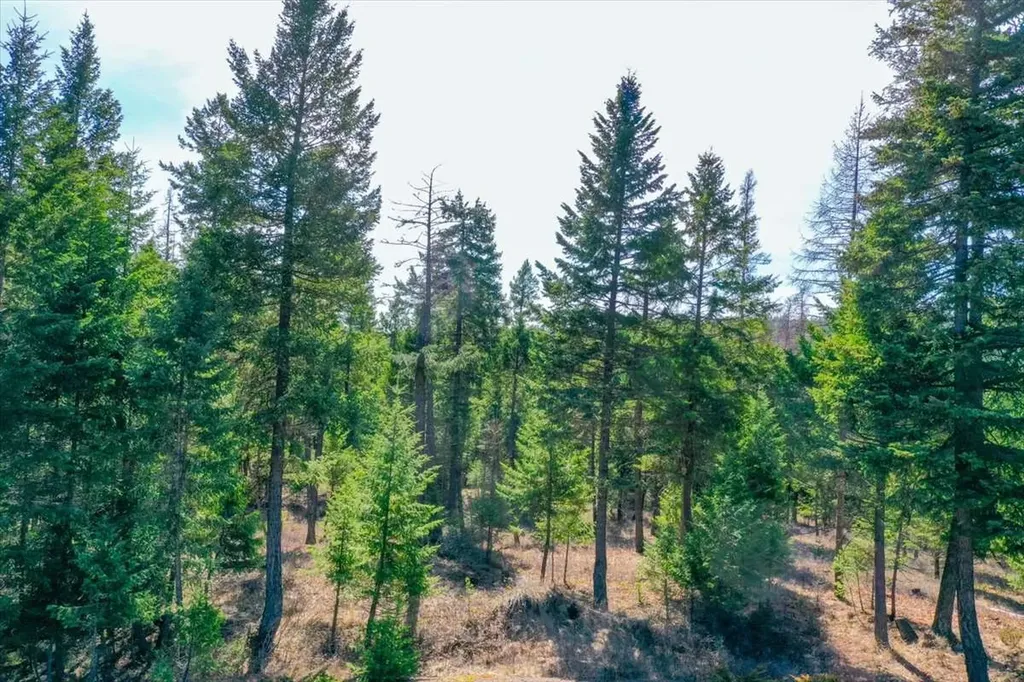 81 Scholar Lane Whitefish MT 59937