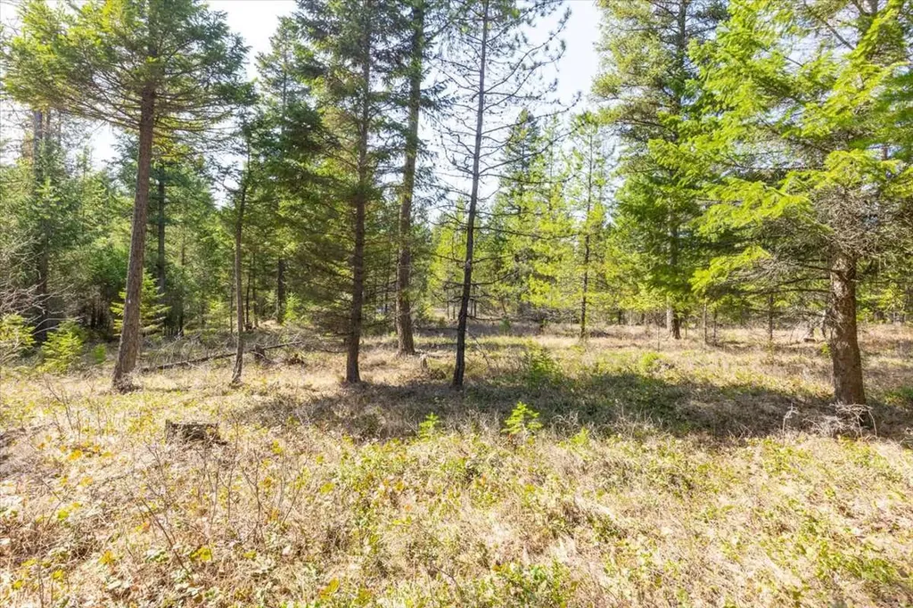 81 Scholar Lane Whitefish MT 59937