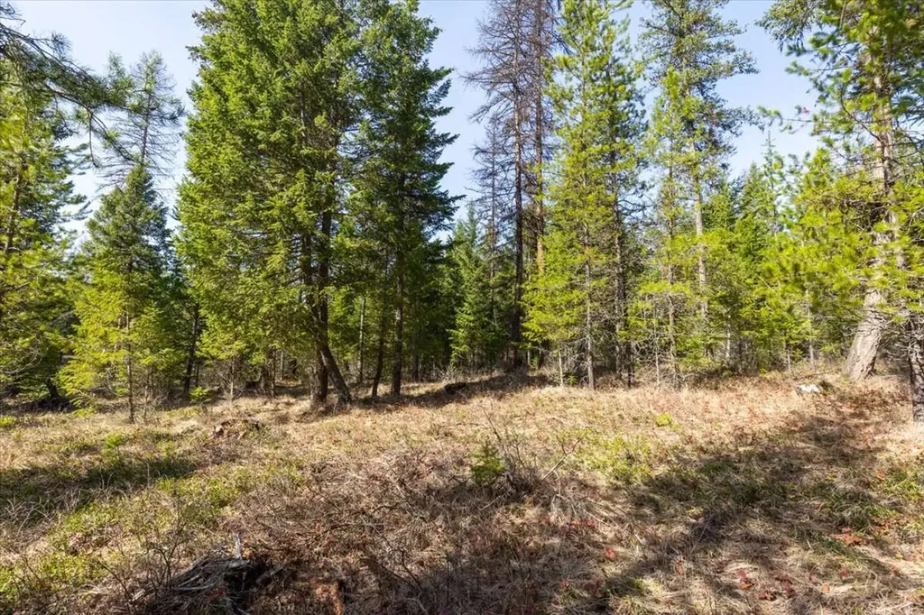81 Scholar Lane Whitefish MT 59937