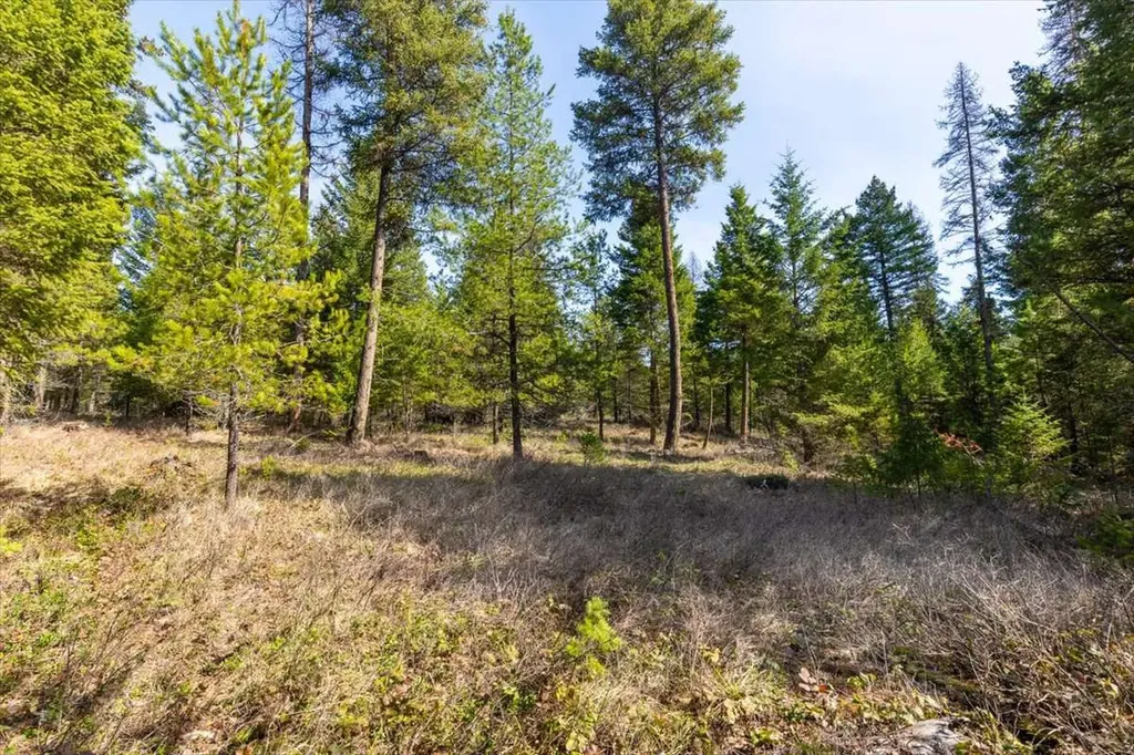 81 Scholar Lane Whitefish MT 59937