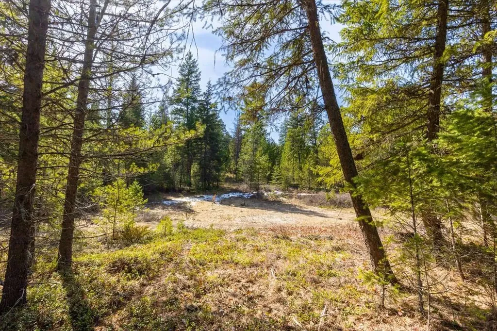 81 Scholar Lane Whitefish MT 59937