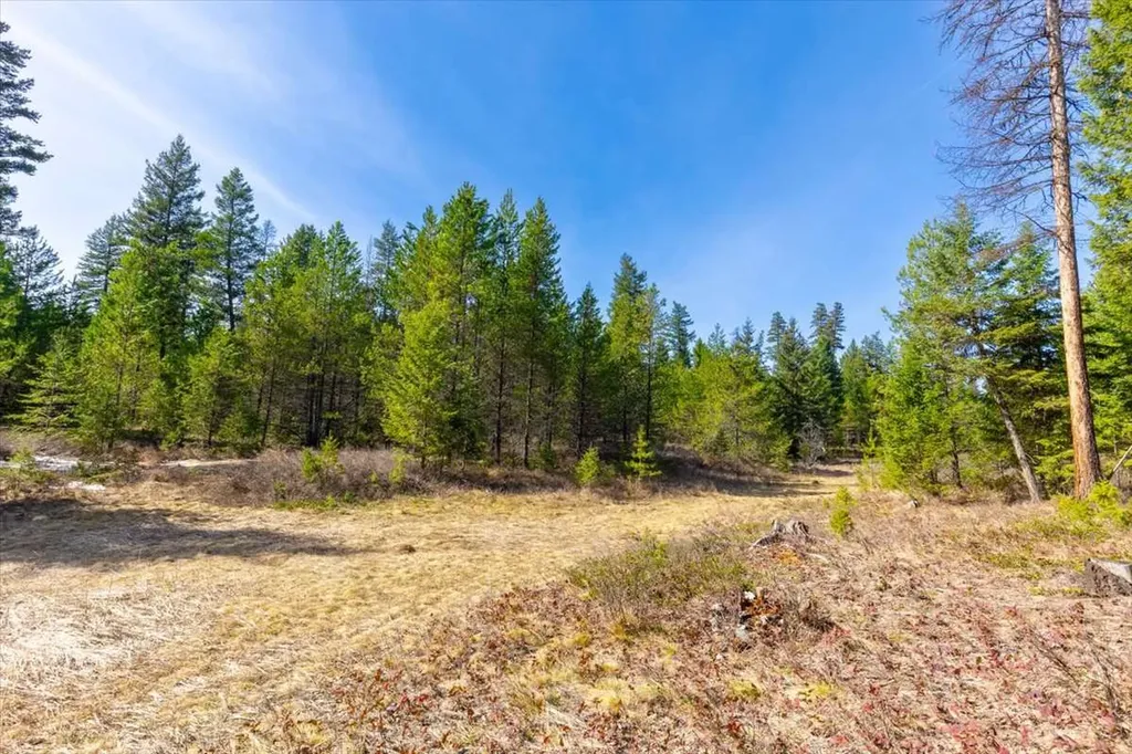 81 Scholar Lane Whitefish MT 59937