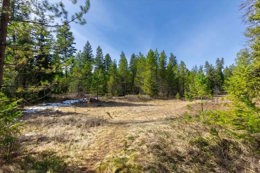 81 Scholar Lane Whitefish MT 59937