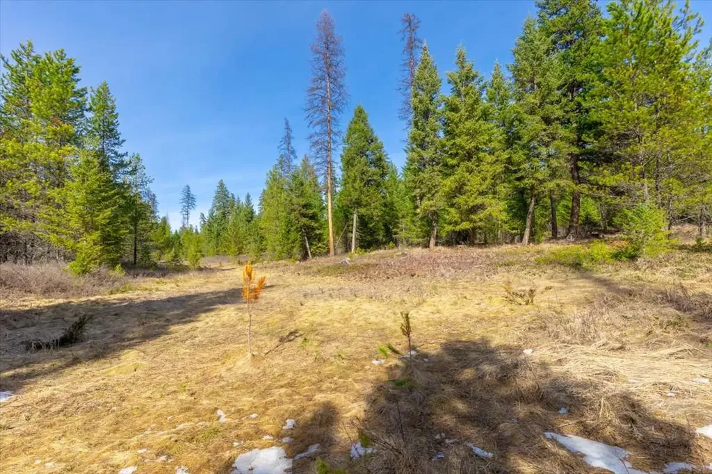 81 Scholar Lane Whitefish MT 59937