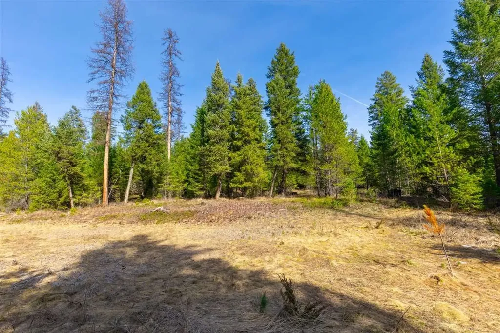 81 Scholar Lane Whitefish MT 59937
