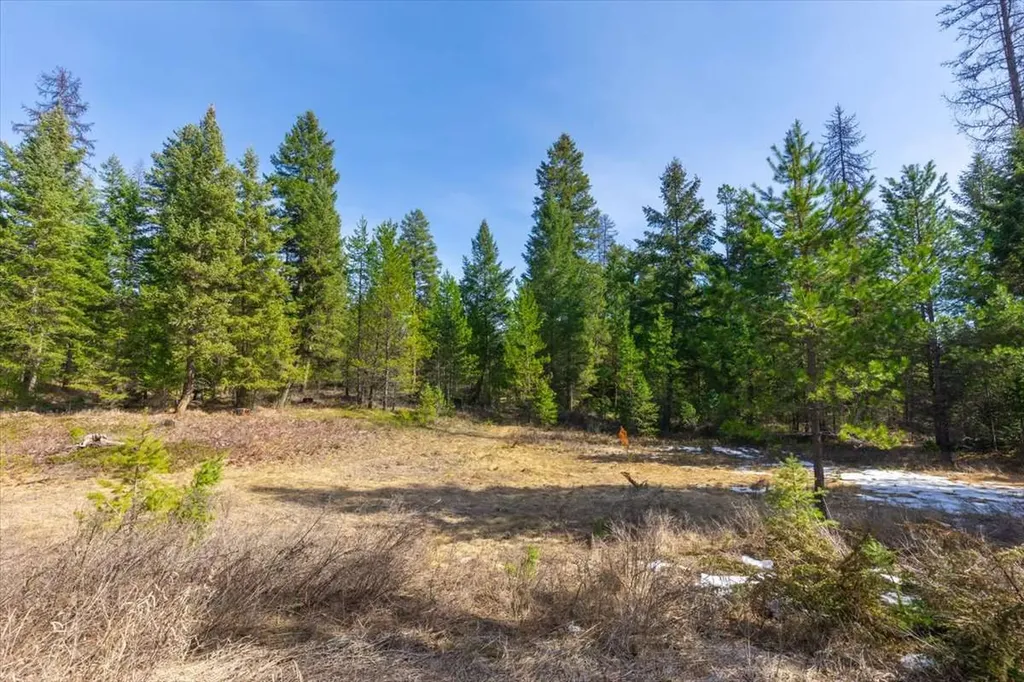 81 Scholar Lane Whitefish MT 59937