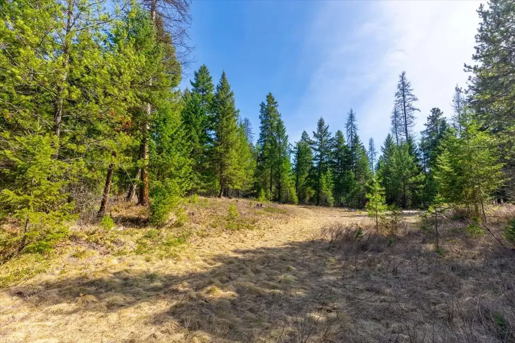 81 Scholar Lane Whitefish MT 59937