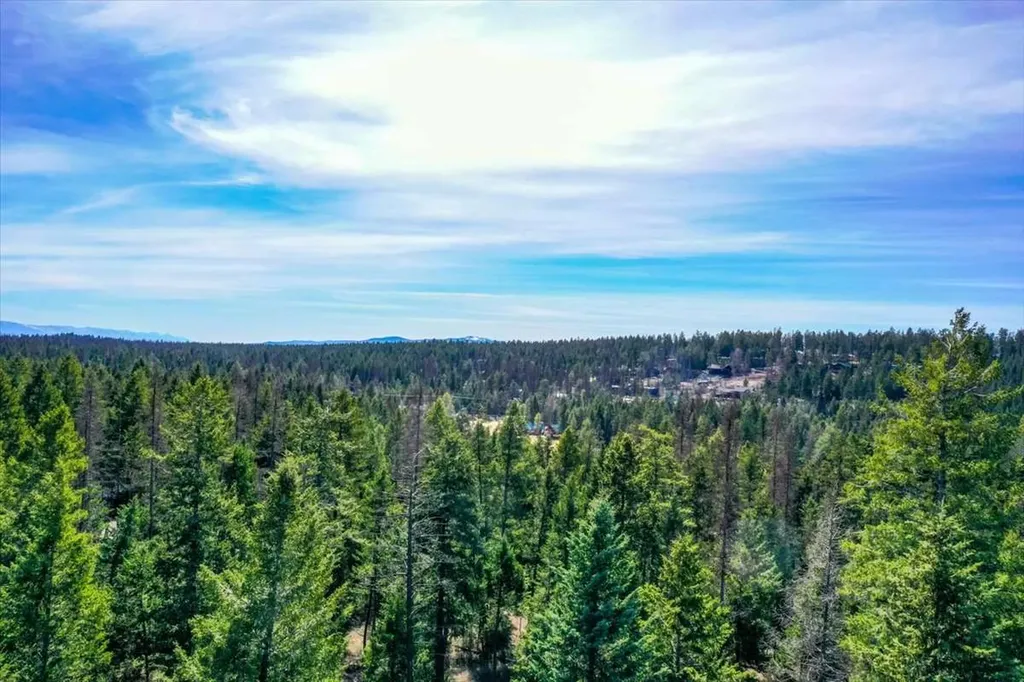 81 Scholar Lane Whitefish MT 59937