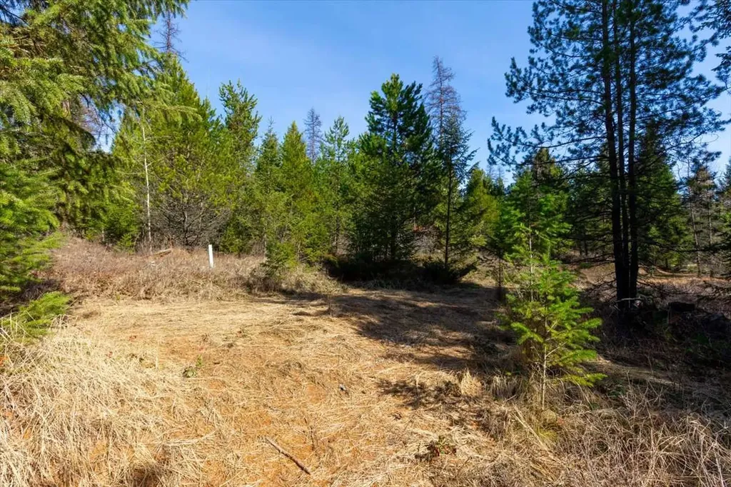 81 Scholar Lane Whitefish MT 59937