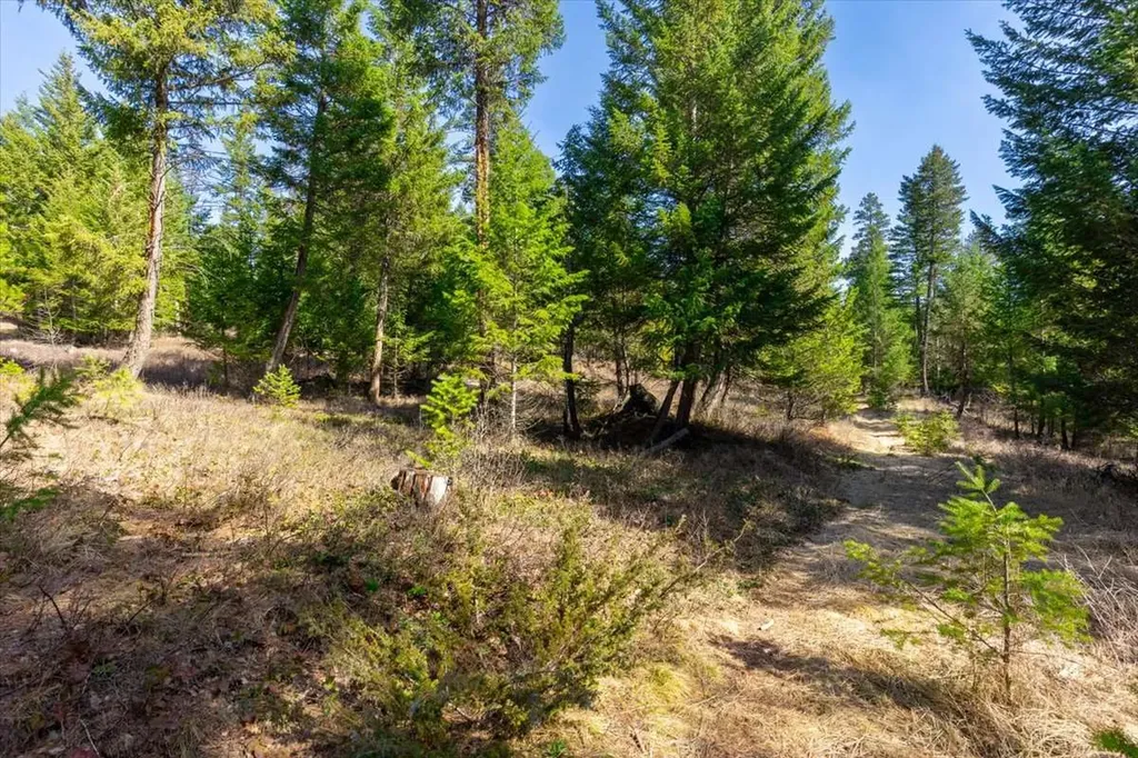 81 Scholar Lane Whitefish MT 59937