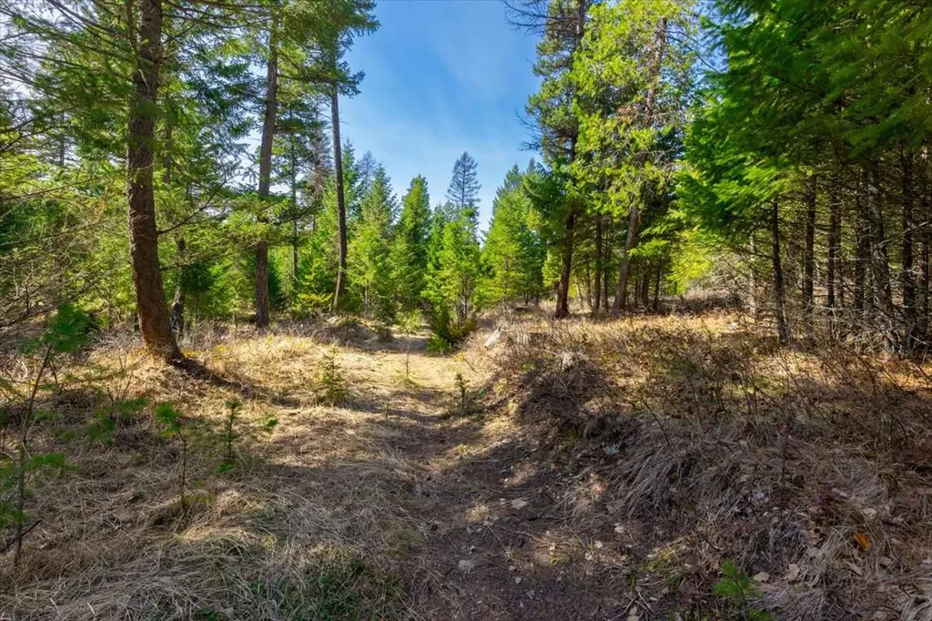81 Scholar Lane Whitefish MT 59937