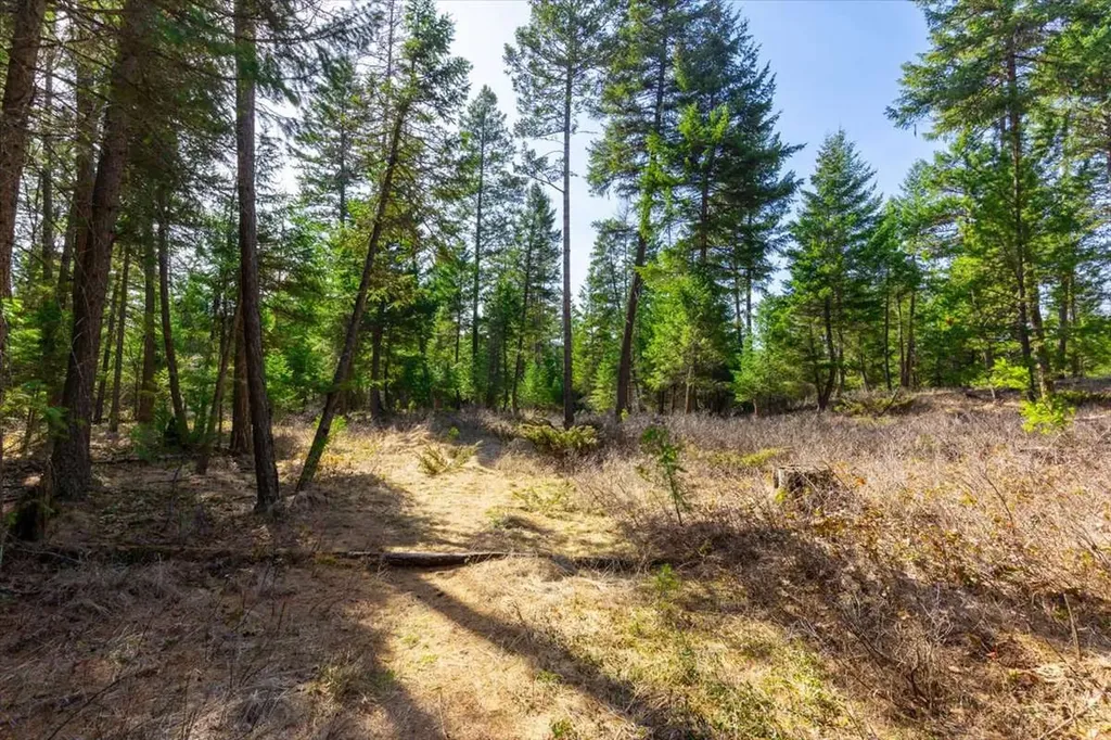 81 Scholar Lane Whitefish MT 59937