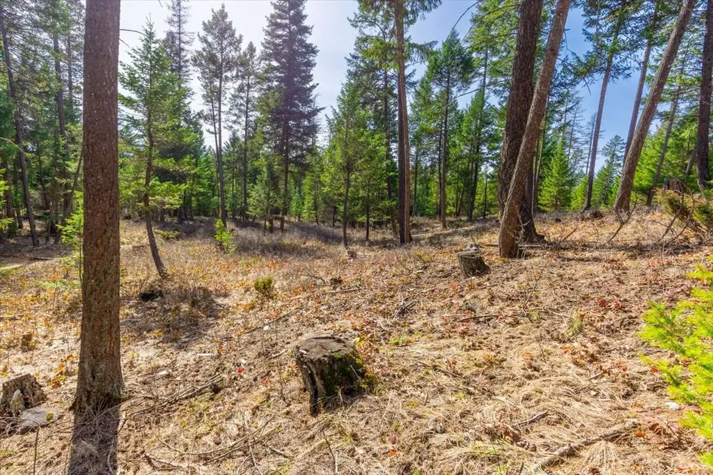 81 Scholar Lane Whitefish MT 59937