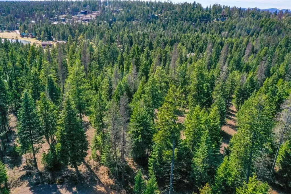 81 Scholar Lane Whitefish MT 59937