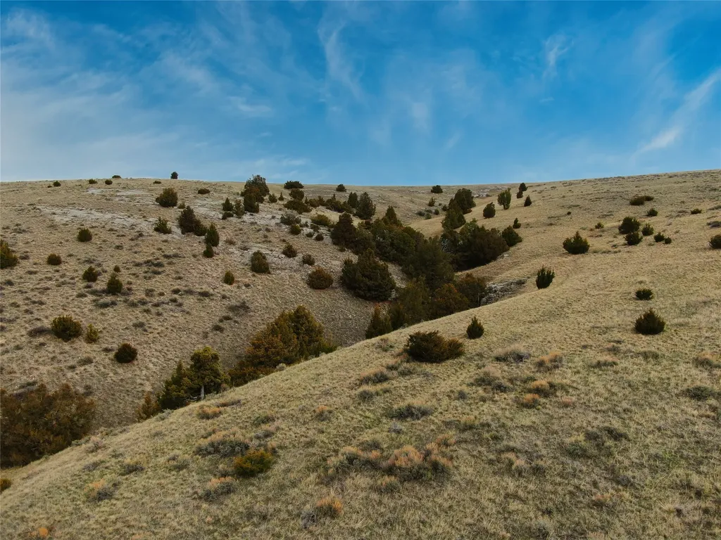 Tbd Horseshoe Gulch Road Manhattan MT 59741