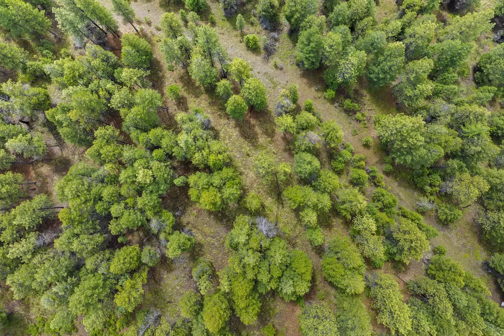 147 Lobo Trail Kalispell MT 59901