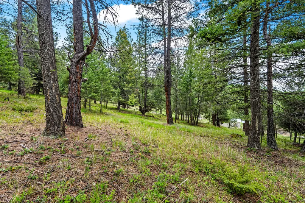 147 Lobo Trail Kalispell MT 59901