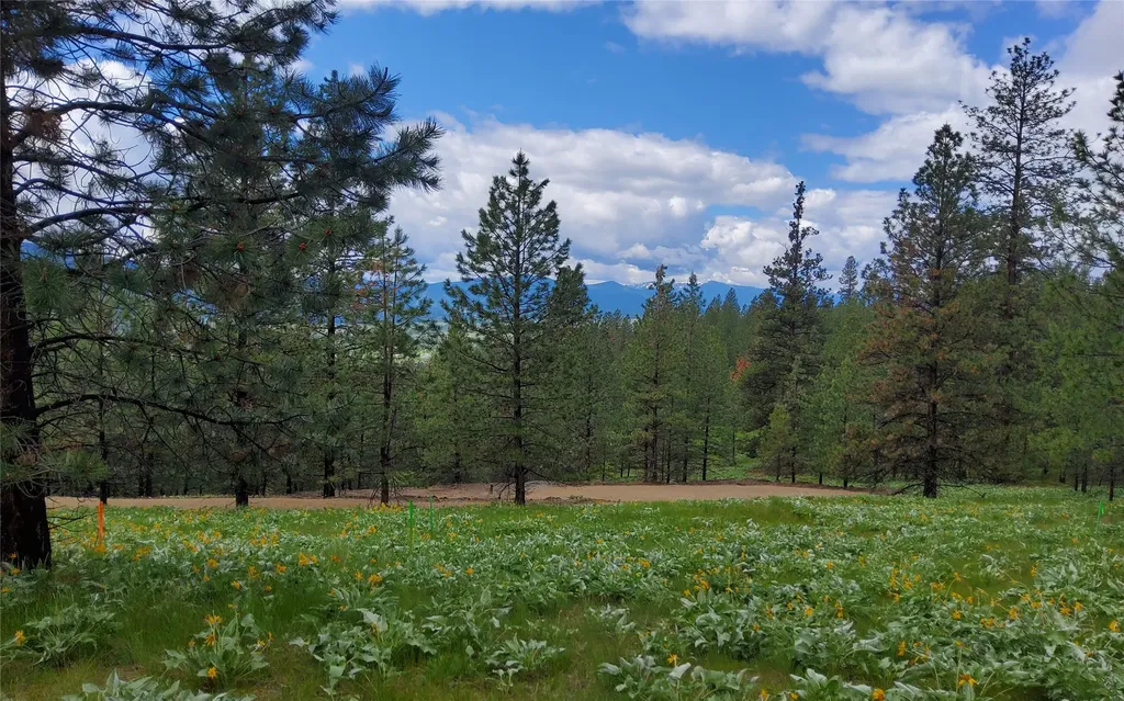 16441 Circle View Drive Frenchtown MT 59834