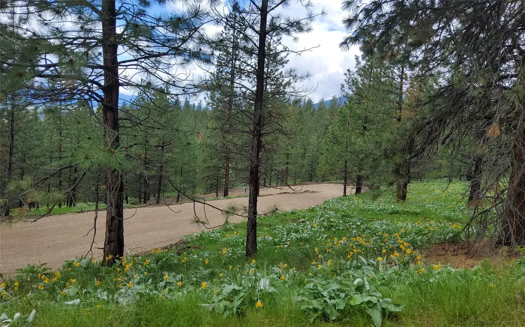 16441 Circle View Drive Frenchtown MT 59834