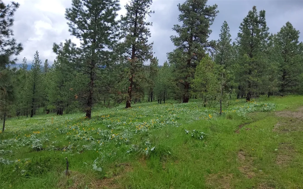 16441 Circle View Drive Frenchtown MT 59834