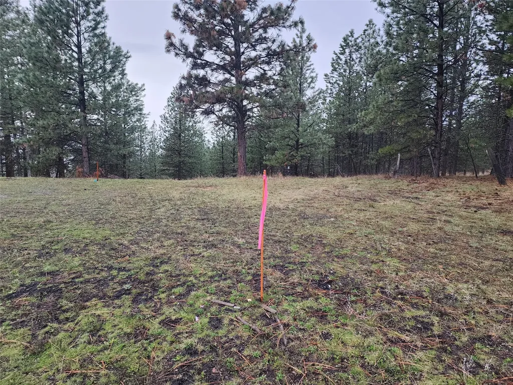 16441 Circle View Drive Frenchtown MT 59834