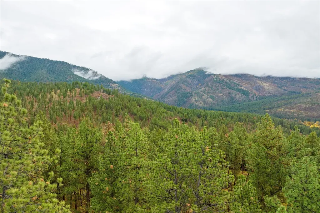 16441 Circle View Drive Frenchtown MT 59834