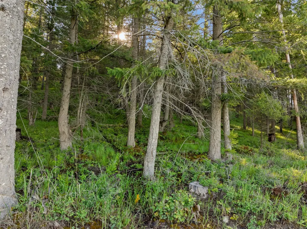 1385 Km Ranch Road Whitefish MT 59937