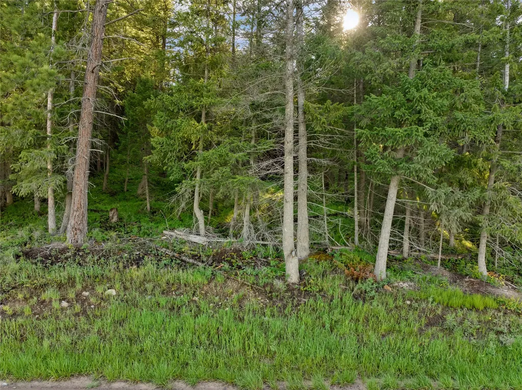 1385 Km Ranch Road Whitefish MT 59937