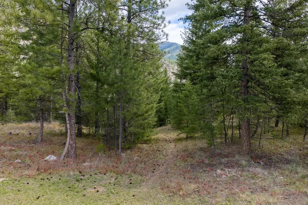 351 Whitewater Lane Alberton MT 59820