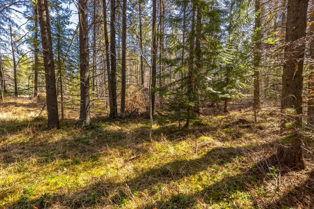 Nhn Rabe Road Columbia Falls MT 59912