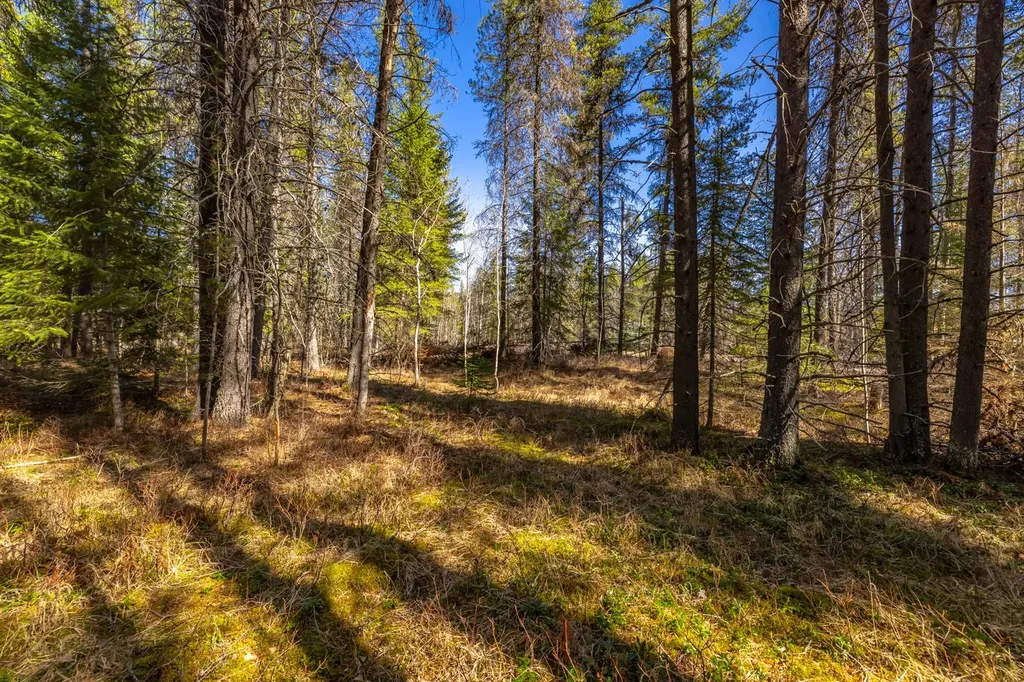 Nhn Rabe Road Columbia Falls MT 59912