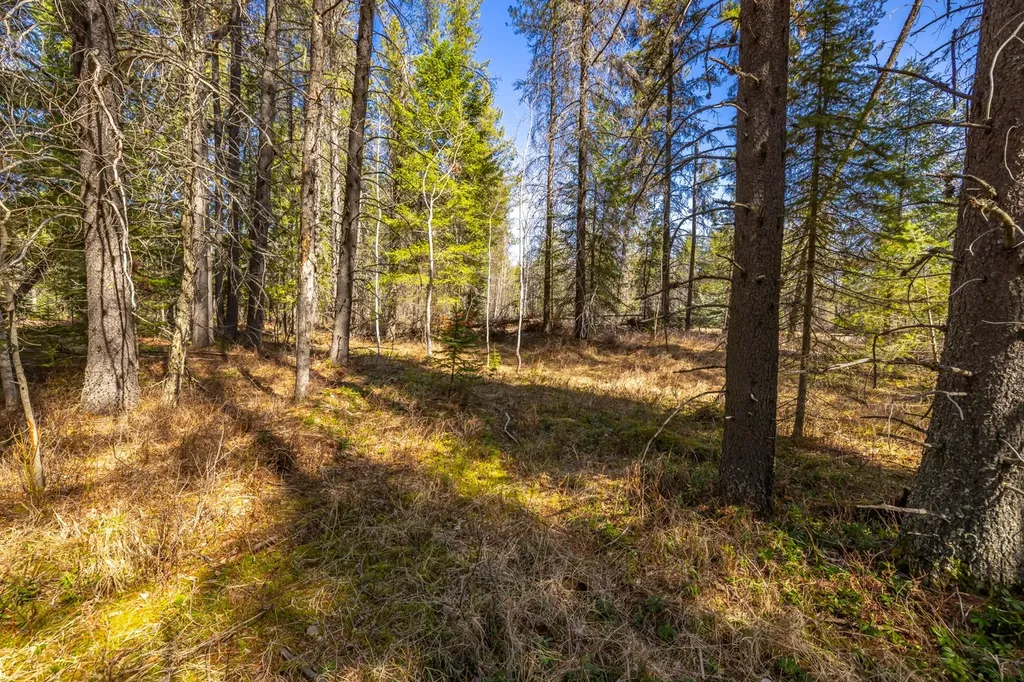 Nhn Rabe Road Columbia Falls MT 59912