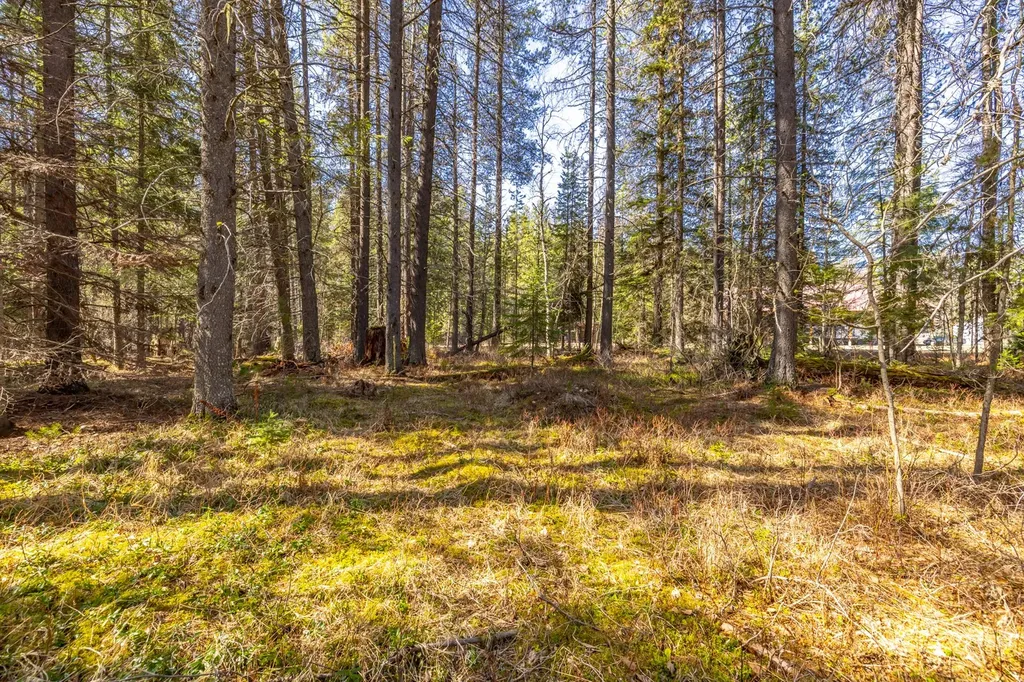 Nhn Rabe Road Columbia Falls MT 59912