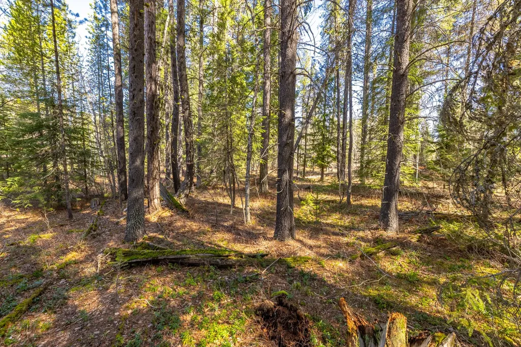 Nhn Rabe Road Columbia Falls MT 59912