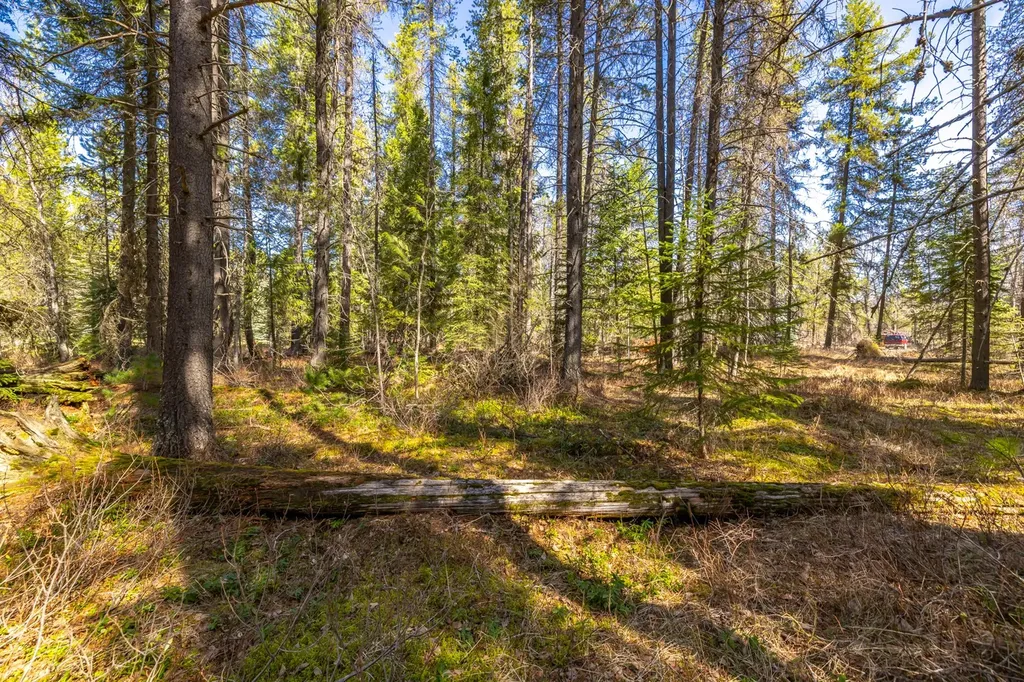 Nhn Rabe Road Columbia Falls MT 59912