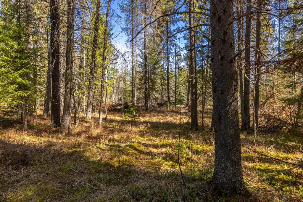 Nhn Rabe Road Columbia Falls MT 59912