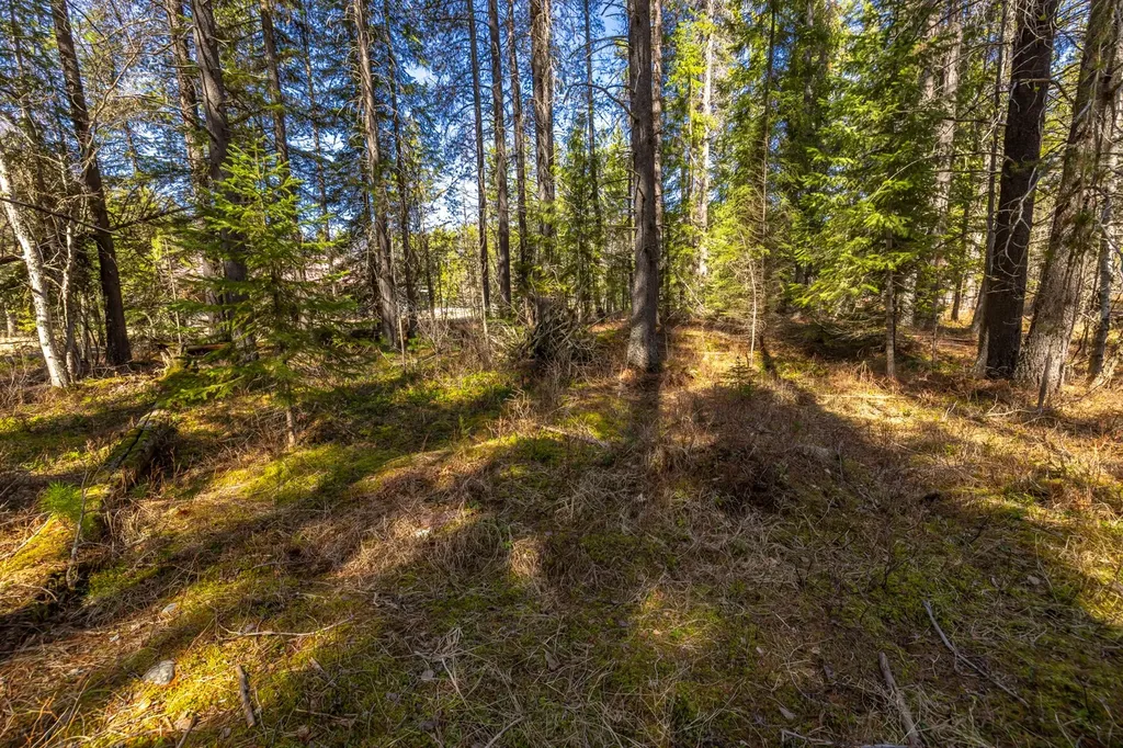 Nhn Rabe Road Columbia Falls MT 59912