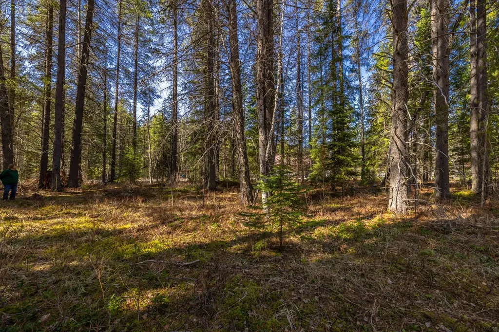 Nhn Rabe Road Columbia Falls MT 59912