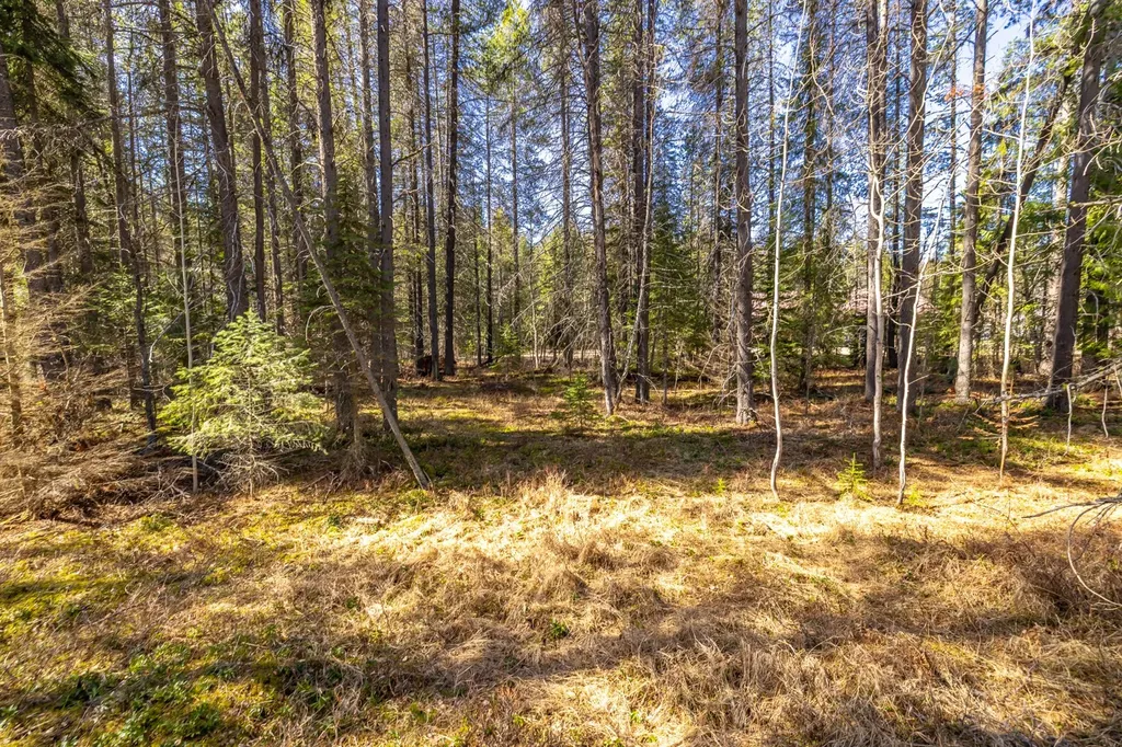 Nhn Rabe Road Columbia Falls MT 59912
