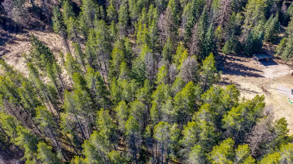 Nhn Rabe Road Columbia Falls MT 59912